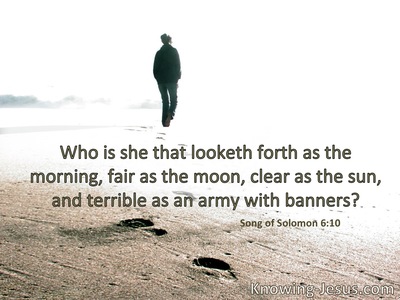 Who is she who looks forth as the morning, fair as the moon, clear as the sun, awesome as an army with banners?